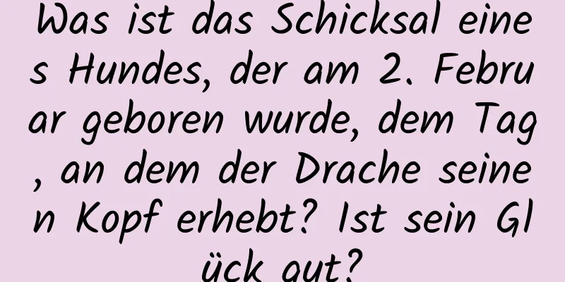 Was ist das Schicksal eines Hundes, der am 2. Februar geboren wurde, dem Tag, an dem der Drache seinen Kopf erhebt? Ist sein Glück gut?