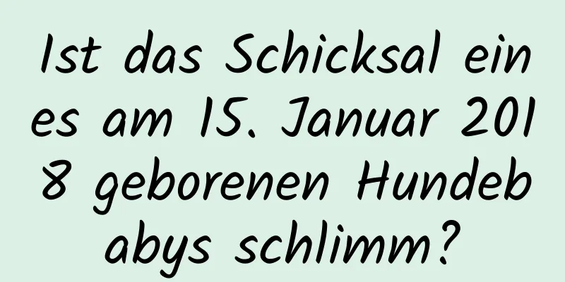 Ist das Schicksal eines am 15. Januar 2018 geborenen Hundebabys schlimm?