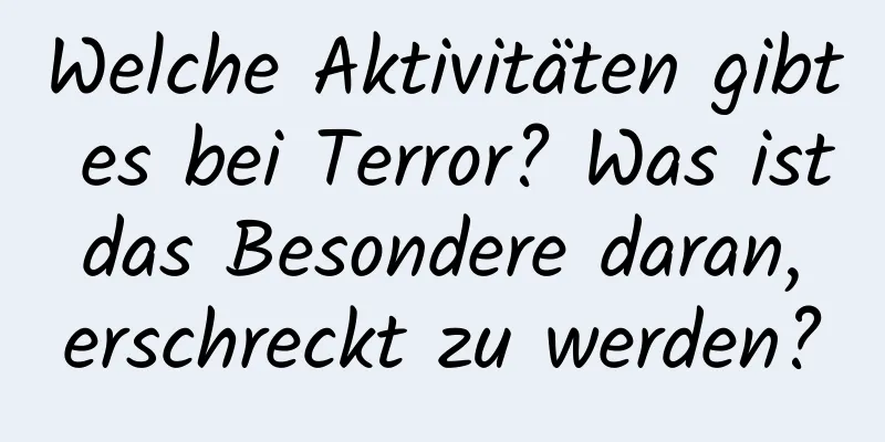 Welche Aktivitäten gibt es bei Terror? Was ist das Besondere daran, erschreckt zu werden?