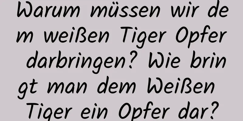 Warum müssen wir dem weißen Tiger Opfer darbringen? Wie bringt man dem Weißen Tiger ein Opfer dar?