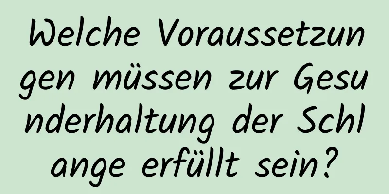 Welche Voraussetzungen müssen zur Gesunderhaltung der Schlange erfüllt sein?