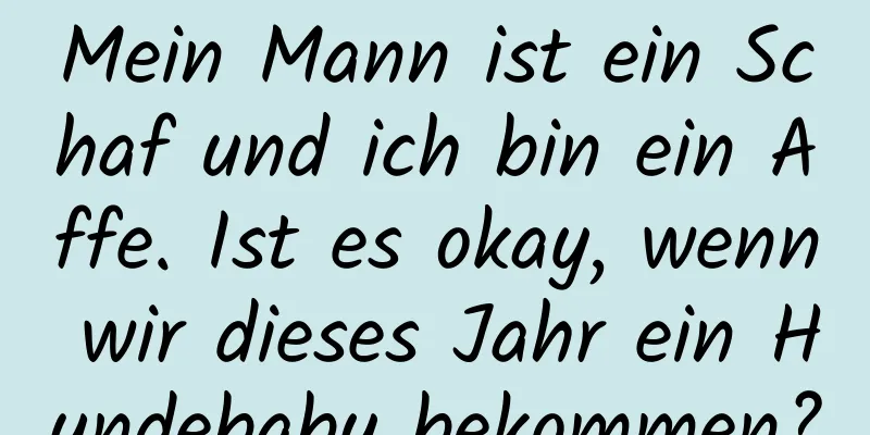 Mein Mann ist ein Schaf und ich bin ein Affe. Ist es okay, wenn wir dieses Jahr ein Hundebaby bekommen?