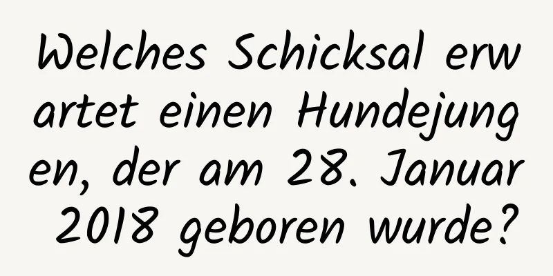 Welches Schicksal erwartet einen Hundejungen, der am 28. Januar 2018 geboren wurde?