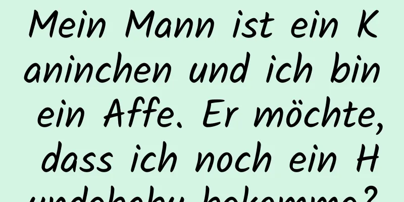 Mein Mann ist ein Kaninchen und ich bin ein Affe. Er möchte, dass ich noch ein Hundebaby bekomme?