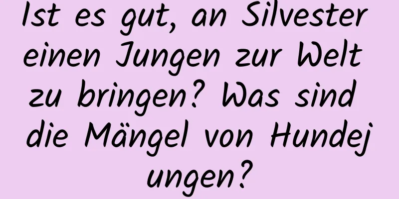 Ist es gut, an Silvester einen Jungen zur Welt zu bringen? Was sind die Mängel von Hundejungen?