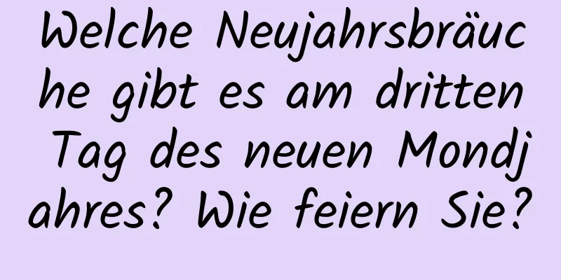 Welche Neujahrsbräuche gibt es am dritten Tag des neuen Mondjahres? Wie feiern Sie?