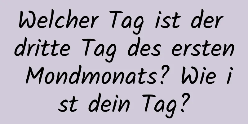 Welcher Tag ist der dritte Tag des ersten Mondmonats? Wie ist dein Tag?