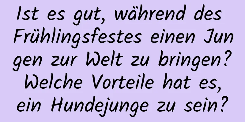 Ist es gut, während des Frühlingsfestes einen Jungen zur Welt zu bringen? Welche Vorteile hat es, ein Hundejunge zu sein?