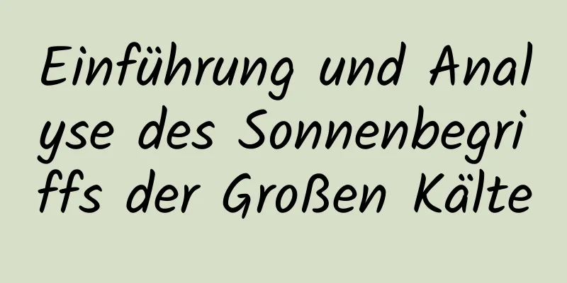 Einführung und Analyse des Sonnenbegriffs der Großen Kälte