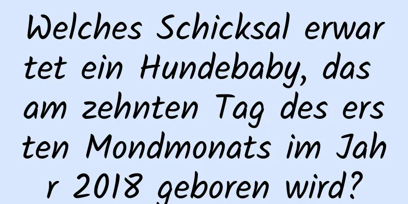 Welches Schicksal erwartet ein Hundebaby, das am zehnten Tag des ersten Mondmonats im Jahr 2018 geboren wird?