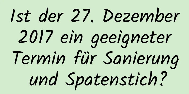 Ist der 27. Dezember 2017 ein geeigneter Termin für Sanierung und Spatenstich?