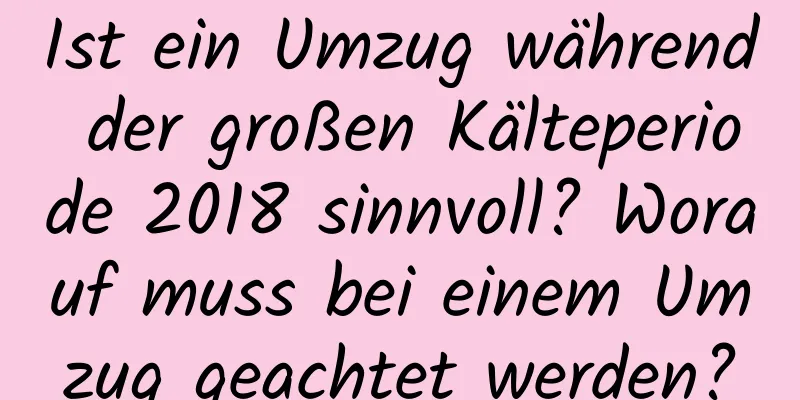 Ist ein Umzug während der großen Kälteperiode 2018 sinnvoll? Worauf muss bei einem Umzug geachtet werden?