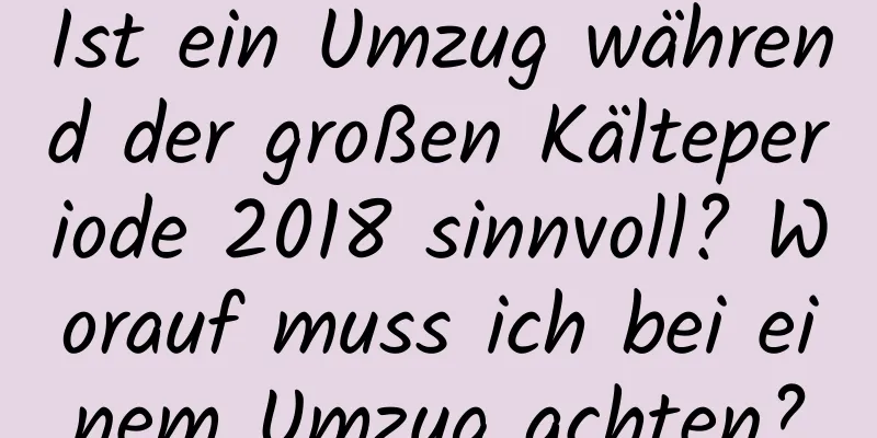 Ist ein Umzug während der großen Kälteperiode 2018 sinnvoll? Worauf muss ich bei einem Umzug achten?