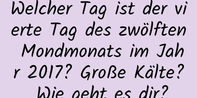 Welcher Tag ist der vierte Tag des zwölften Mondmonats im Jahr 2017? Große Kälte? Wie geht es dir?