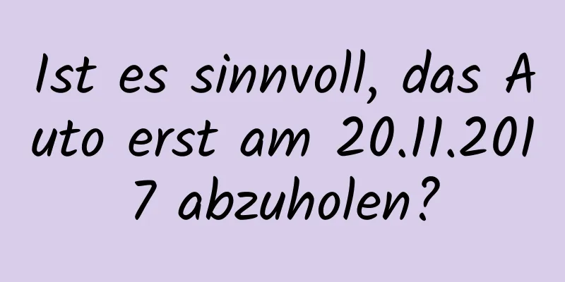 Ist es sinnvoll, das Auto erst am 20.11.2017 abzuholen?