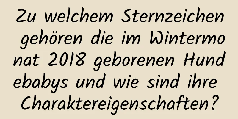 Zu welchem ​​Sternzeichen gehören die im Wintermonat 2018 geborenen Hundebabys und wie sind ihre Charaktereigenschaften?