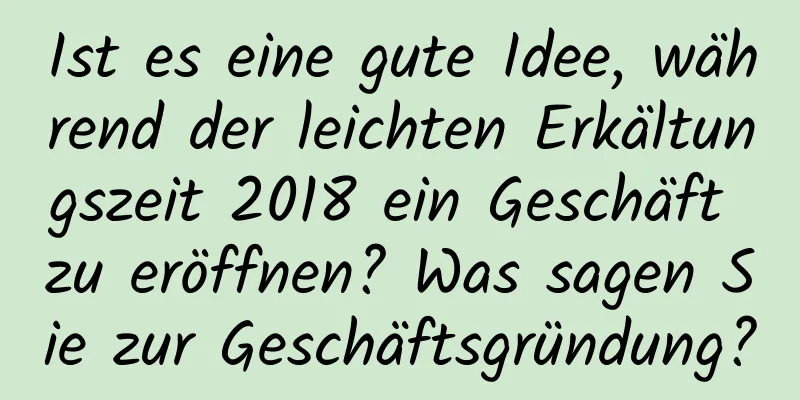 Ist es eine gute Idee, während der leichten Erkältungszeit 2018 ein Geschäft zu eröffnen? Was sagen Sie zur Geschäftsgründung?