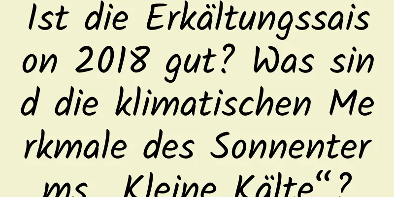 Ist die Erkältungssaison 2018 gut? Was sind die klimatischen Merkmale des Sonnenterms „Kleine Kälte“?