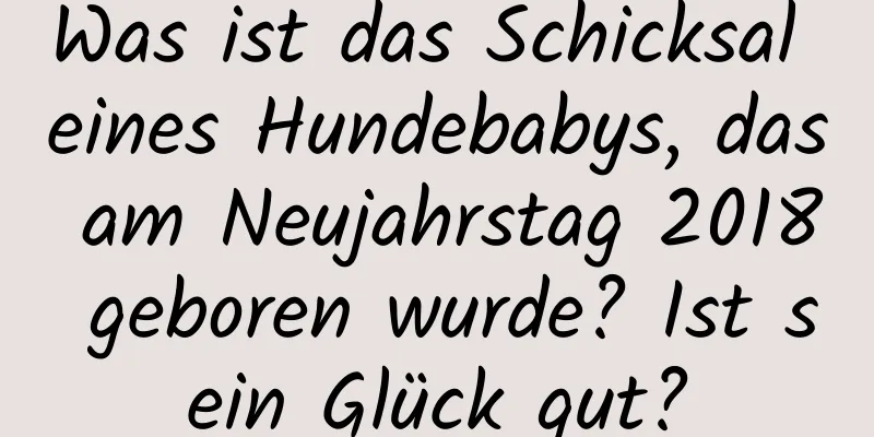 Was ist das Schicksal eines Hundebabys, das am Neujahrstag 2018 geboren wurde? Ist sein Glück gut?