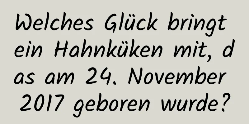 Welches Glück bringt ein Hahnküken mit, das am 24. November 2017 geboren wurde?