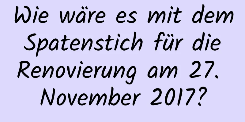 Wie wäre es mit dem Spatenstich für die Renovierung am 27. November 2017?