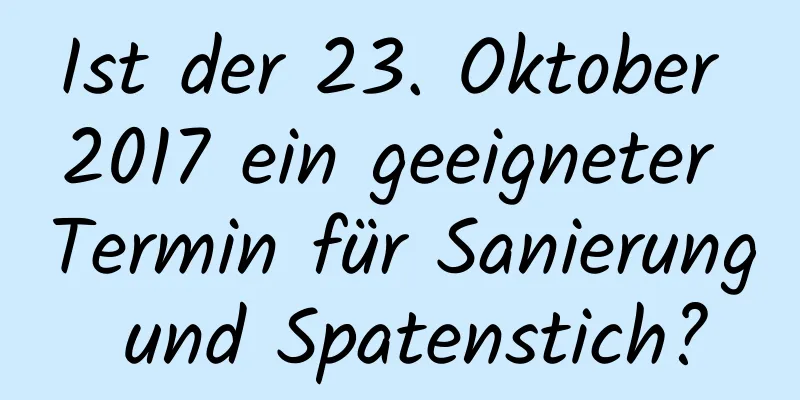 Ist der 23. Oktober 2017 ein geeigneter Termin für Sanierung und Spatenstich?