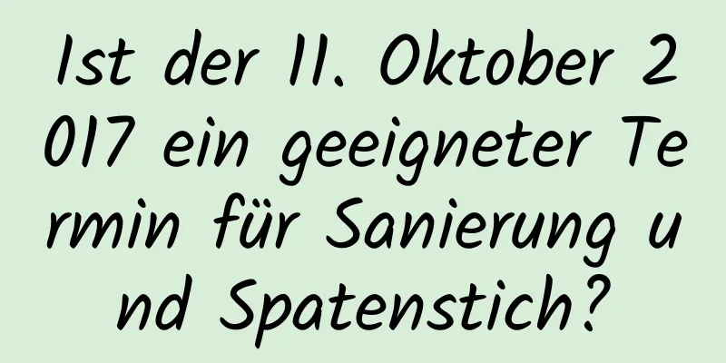 Ist der 11. Oktober 2017 ein geeigneter Termin für Sanierung und Spatenstich?