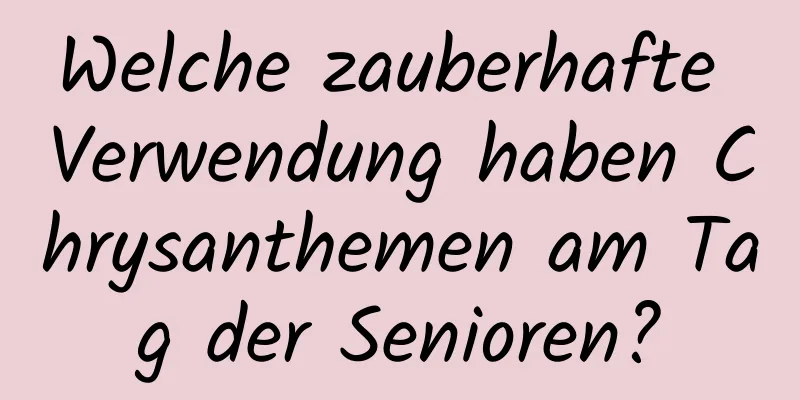 Welche zauberhafte Verwendung haben Chrysanthemen am Tag der Senioren?