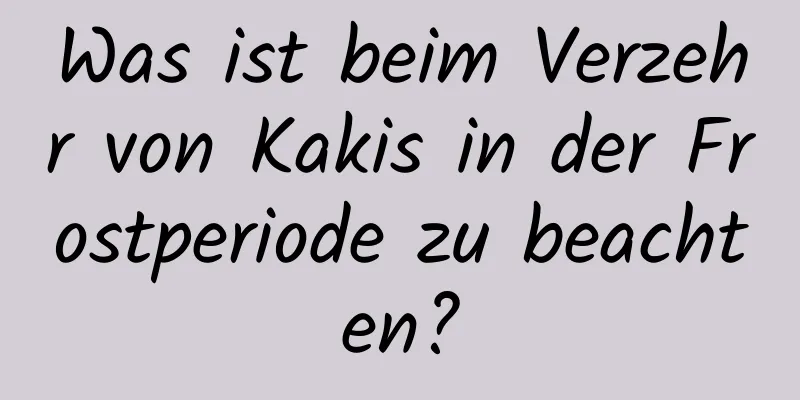 Was ist beim Verzehr von Kakis in der Frostperiode zu beachten?