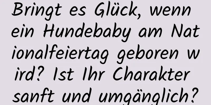 Bringt es Glück, wenn ein Hundebaby am Nationalfeiertag geboren wird? Ist Ihr Charakter sanft und umgänglich?