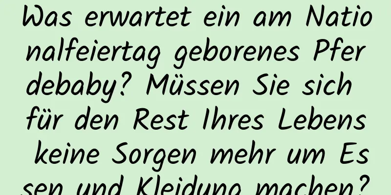 Was erwartet ein am Nationalfeiertag geborenes Pferdebaby? Müssen Sie sich für den Rest Ihres Lebens keine Sorgen mehr um Essen und Kleidung machen?