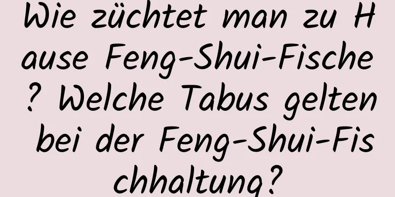 Wie züchtet man zu Hause Feng-Shui-Fische? Welche Tabus gelten bei der Feng-Shui-Fischhaltung?