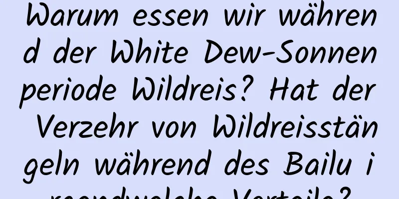 Warum essen wir während der White Dew-Sonnenperiode Wildreis? Hat der Verzehr von Wildreisstängeln während des Bailu irgendwelche Vorteile?