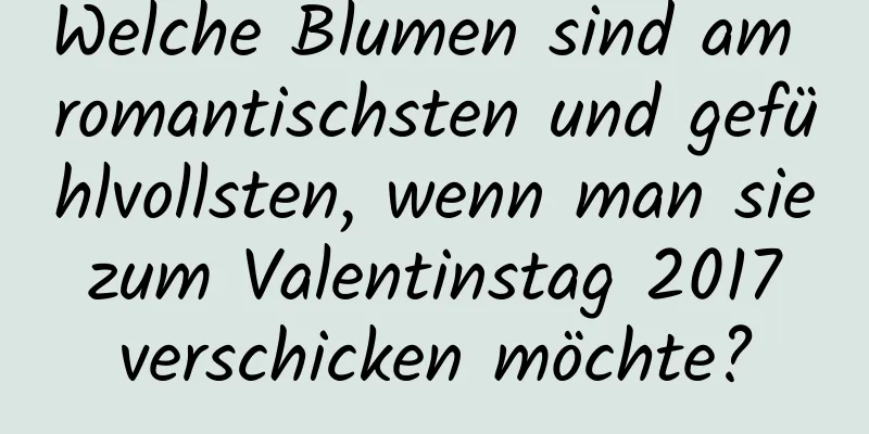 Welche Blumen sind am romantischsten und gefühlvollsten, wenn man sie zum Valentinstag 2017 verschicken möchte?