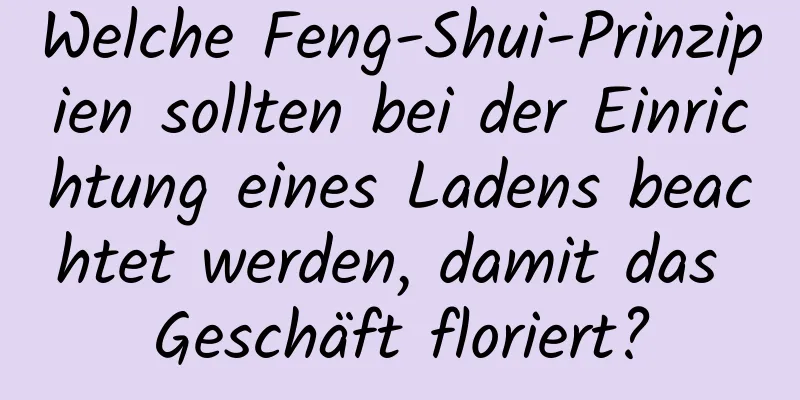 Welche Feng-Shui-Prinzipien sollten bei der Einrichtung eines Ladens beachtet werden, damit das Geschäft floriert?