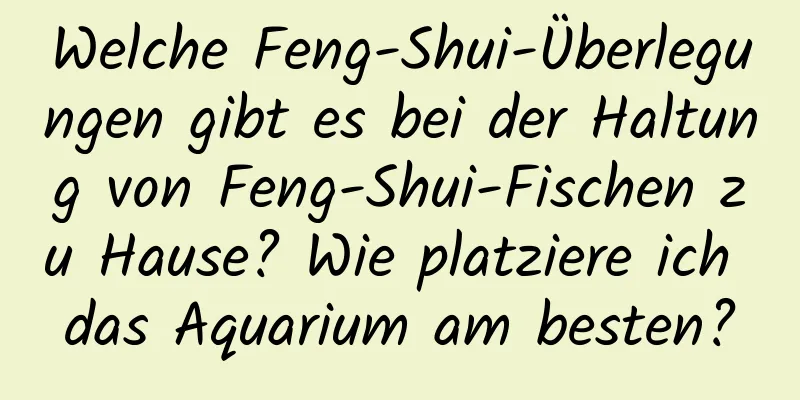 Welche Feng-Shui-Überlegungen gibt es bei der Haltung von Feng-Shui-Fischen zu Hause? Wie platziere ich das Aquarium am besten?