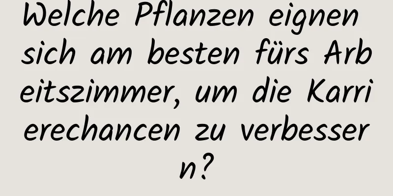 Welche Pflanzen eignen sich am besten fürs Arbeitszimmer, um die Karrierechancen zu verbessern?