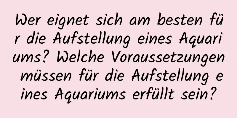 Wer eignet sich am besten für die Aufstellung eines Aquariums? Welche Voraussetzungen müssen für die Aufstellung eines Aquariums erfüllt sein?