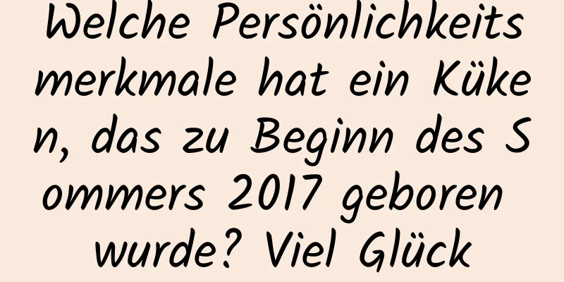 Welche Persönlichkeitsmerkmale hat ein Küken, das zu Beginn des Sommers 2017 geboren wurde? Viel Glück