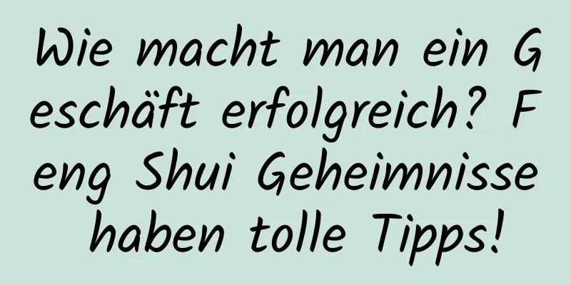 Wie macht man ein Geschäft erfolgreich? Feng Shui Geheimnisse haben tolle Tipps!