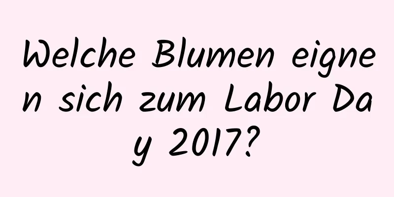 Welche Blumen eignen sich zum Labor Day 2017?