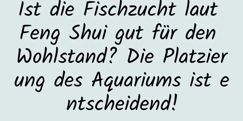 Ist die Fischzucht laut Feng Shui gut für den Wohlstand? Die Platzierung des Aquariums ist entscheidend!