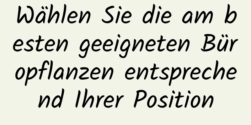 Wählen Sie die am besten geeigneten Büropflanzen entsprechend Ihrer Position