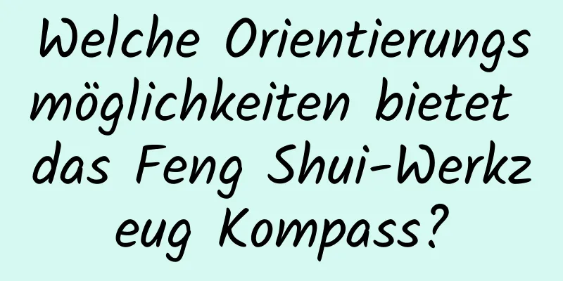 Welche Orientierungsmöglichkeiten bietet das Feng Shui-Werkzeug Kompass?