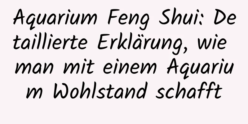 Aquarium Feng Shui: Detaillierte Erklärung, wie man mit einem Aquarium Wohlstand schafft