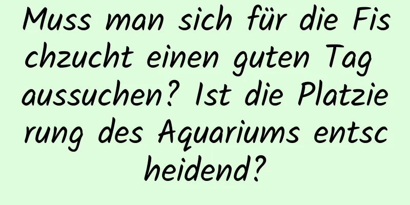 Muss man sich für die Fischzucht einen guten Tag aussuchen? Ist die Platzierung des Aquariums entscheidend?