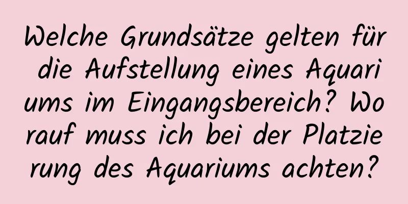 Welche Grundsätze gelten für die Aufstellung eines Aquariums im Eingangsbereich? Worauf muss ich bei der Platzierung des Aquariums achten?