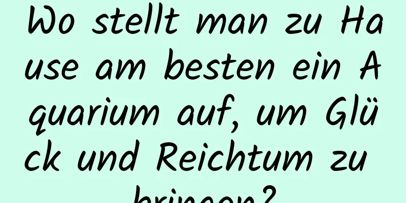 Wo stellt man zu Hause am besten ein Aquarium auf, um Glück und Reichtum zu bringen?