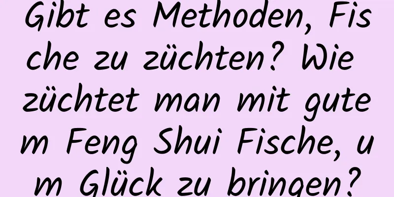 Gibt es Methoden, Fische zu züchten? Wie züchtet man mit gutem Feng Shui Fische, um Glück zu bringen?