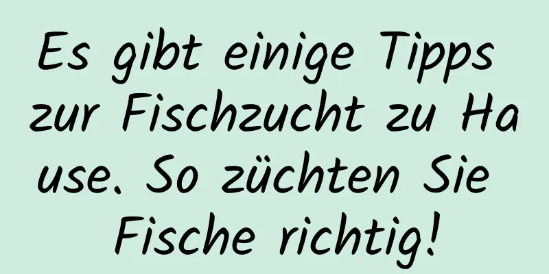 Es gibt einige Tipps zur Fischzucht zu Hause. So züchten Sie Fische richtig!